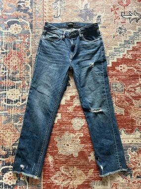 Hudson Jeans Women's Skinny Distressed Medium Blue Denim